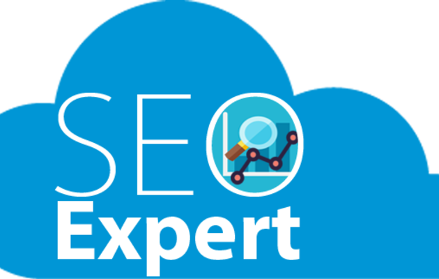 How to Hire a Good SEO Expert?